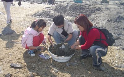시도기행5