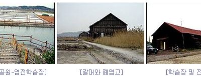 15번째 강의 – 식물의 이해 두번째 (염생식물)