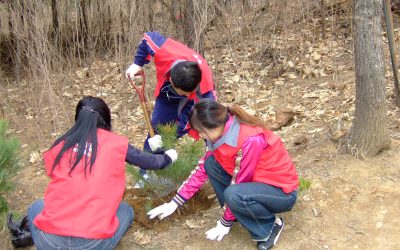 문학산(연경산) 식목행사입니다.