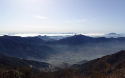 녹색순례 다녀오겠습니다. 꾸벅,