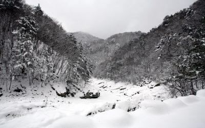 야생동물학교 첫날