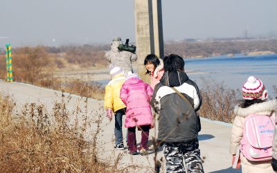 1월 31일 중랑천 미사리 탐조 – 뒤늦은 후기