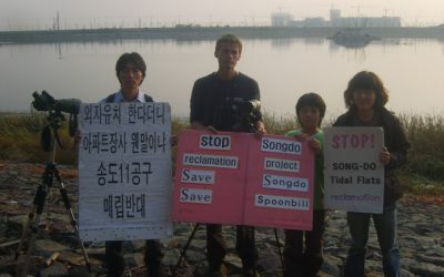 와덴해 공동사무국 – 송도갯벌 매립 우려 표명