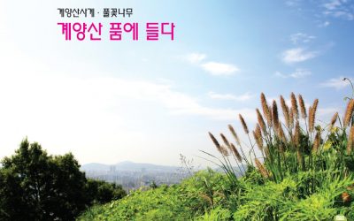 계양산사진집 ‘계양산품에들다’발간