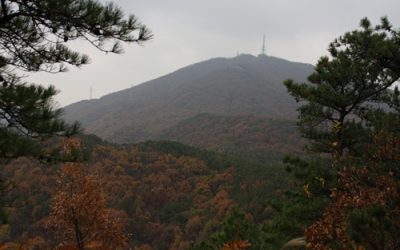 11월의 계양산… 그곳에 나는 없었다