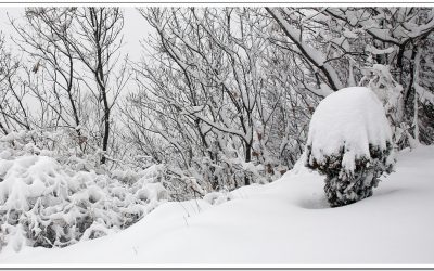 계양산 설경