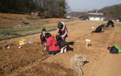 마음따로 밭따로