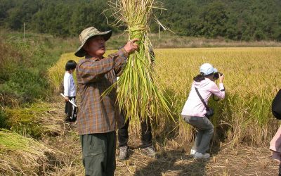 10월1일~31일 인천녹색연합 씨앗이 되신분들