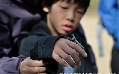 10월 연수(남, 남동)구 모임 초록동무들과…