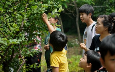 6월 연수(남, 남동)구 친구들과…