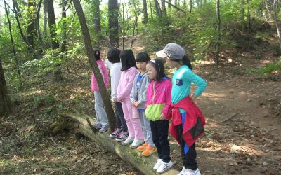 계양구 10월 초록이  토끼풀(2학년)반 사진