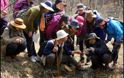 인천녹색연합, ‘숲해설가 전문과정’ 교육 진행