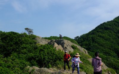 푸른 숲 병풍 두른 쪽빛 섬 … 낙도민 꿋꿋한 삶 이어가