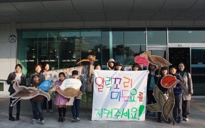 국제 멸종위기종 알락꼬리마도요, 영종도갯벌에서 이렇게 사라질 순 없다!