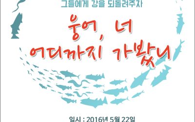 [세계물고기이동의날①] D-DAY 30