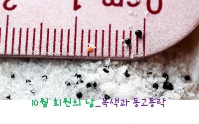 [11월 19일. 신청]회원의 날_녹색과 동고동락: 미세 플라스틱 NO! 바다를 지켜라