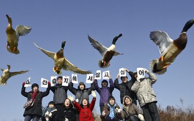 국립야생동물구조센터 필요하다