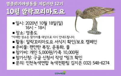 [모집] 멸종위기야생동물지킴이단 12기, 10월 알락꼬리마도요