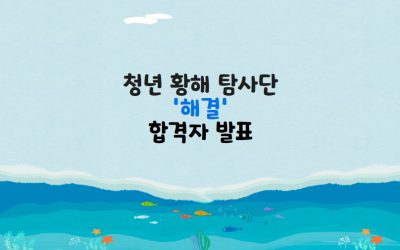 청년 황해 탐사단 ‘해결’ 합격자를 발표합니다.