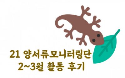 2~3월 양서류모니터링단 활동 후기