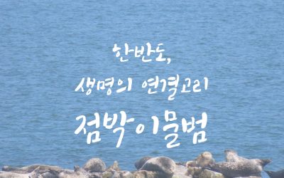 [10월 녹색기획강좌] 한반도 생명의 연결고리, 점박이물범