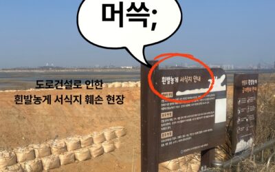 [성명서] 인천시는 깃대종 서식현황 파악 및 보호방안 마련하라!
