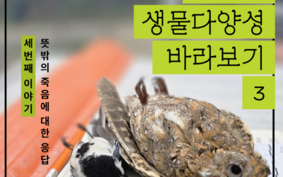낯설게 낯익게 생물다양성 바라보기 3 – 뜻밖의 죽음에 대한 응답
