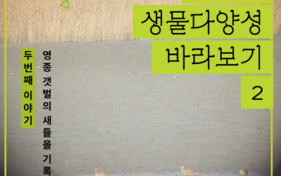 낯설게 낯익게 생물다양성 바라보기 2 – 영종 갯벌의 새들을 기록하다