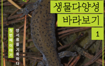 낯설게 낯익게 생물다양성 바라보기 1 – 양서류를 기록하다
