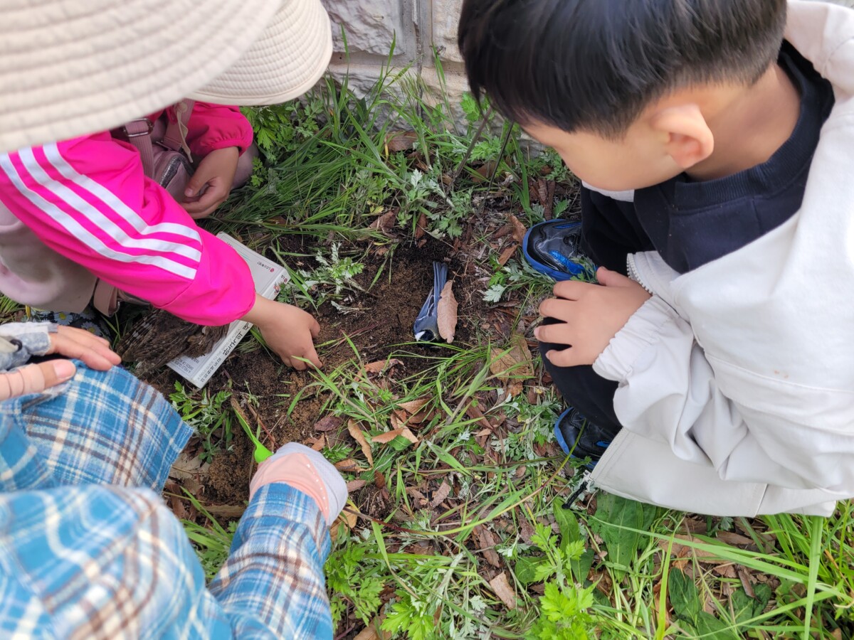 KakaoTalk_20250506_203150140_01 (1).jpg