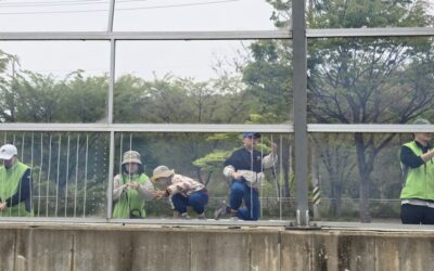 [보도자료] 세계철새이동의 날 – 새살림행동 진행