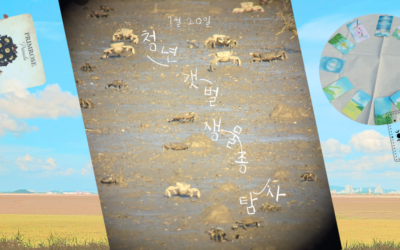 [후기] 청년 갯벌 생물종 탐사(7/20) ~ 잃어버린 나의 호기심을 찾아서 ~