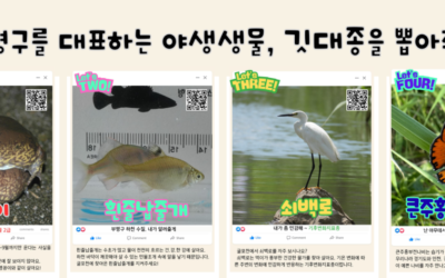 부평구 생태계를 대표하는 생물종(깃대종)을 선정해주세요