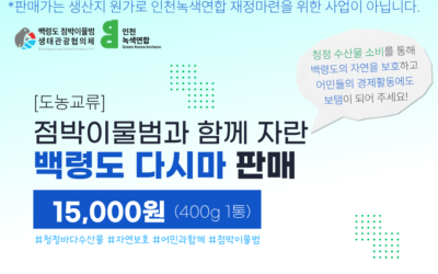 ｢도농교류｣ 점박이물범과 함께 자란 백령도 “다시마”판매
