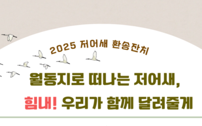 [2025 저어새환송잔치] 월동지로 떠나는 저어새, 힘내! 우리가 함께 달려줄게