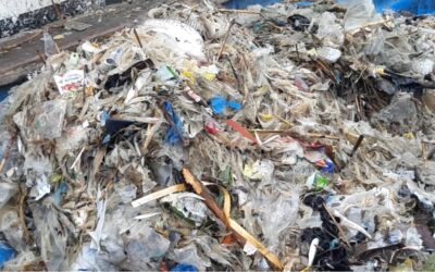 [성명서] 비닐쓰레기가 국민들의 밥상을 위협한다. 중앙정부와 국회는 한강하구 조사예산을 복원하라