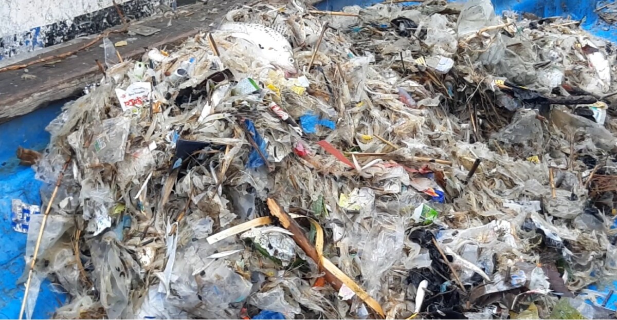 KakaoTalk_20251103_121038709