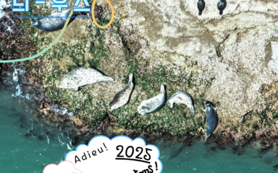 [물범늬우스 vol.2] 아듀! 2025! 짜이찌엔! 물범가디언즈