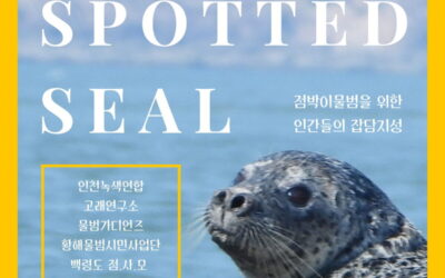 백령도 점박이 물범 보호를 위한 잡담지성