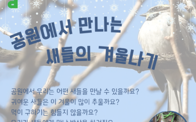 공원에서 만나는 새들의 겨울나기🐦❄️ (버드케이크 만들기 활동)