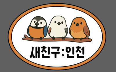 조류충돌 사체 발견시 국민신문고 민원 넣는 법