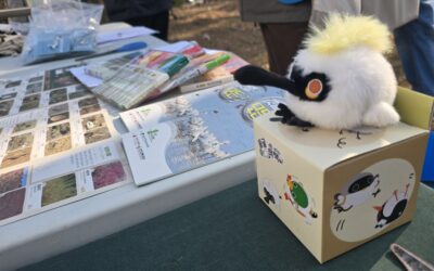 [후기] 제1회 국제저어새의날 ~2026 저어새환영잔치~