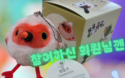 [행사] “제 1회”!! 국제저어새의날 ~ 2026 저어새 환영잔치 ~ 에 초대합니다.