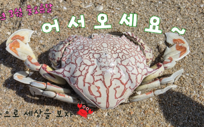 [게눈3월공지] 0322_물오름달 게눈 모이자  =‘ㅁ’=