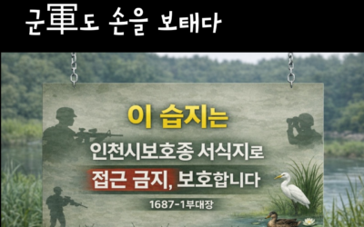 인천 양서류와 시민과학자 이야기 (2) – 양서류 보호에 군軍도 손을 보태다